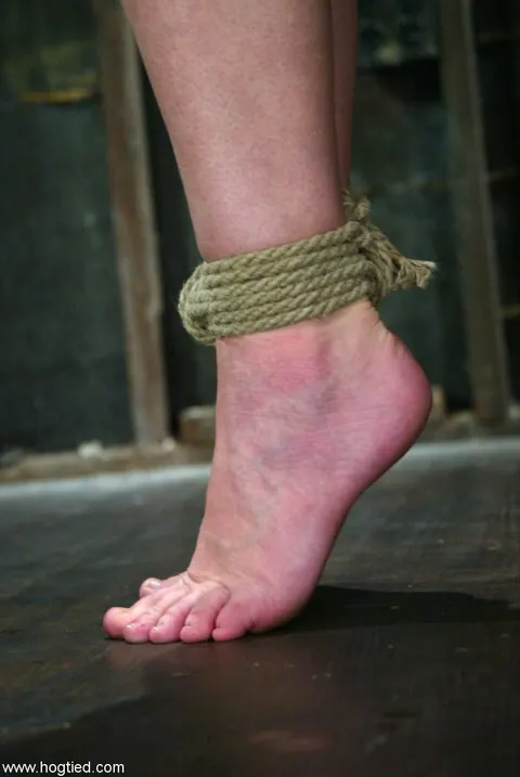 Dee Williams: Blonde with Enhanced Tits Tied Up in Rope Bondage – photo 10 of 20