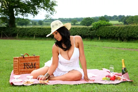 Danica Collins: Busty Ebony MILF Masturbates on a Picnic Blanket – photo 3 of 16