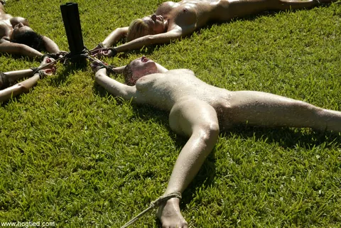 Dee Williams: Bound Blonde and Brunette MILFs Use Toys in the Forest – photo 11 of 21
