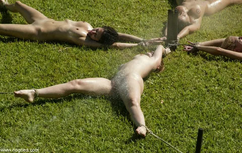 Dee Williams: Bound Blonde and Brunette MILFs Use Toys in the Forest – photo 10 of 21