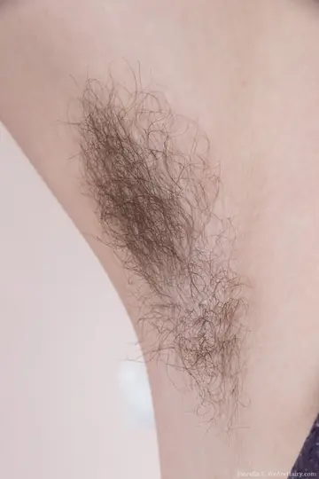 Thick Brunette in Lingerie Shows Her Hairy Pussy and Armpits