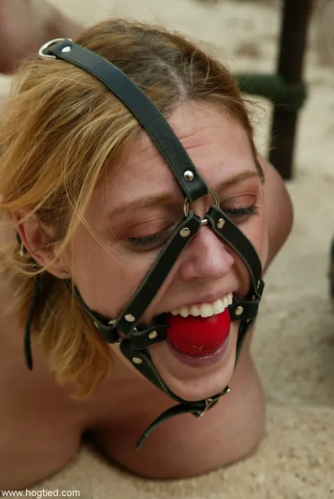 Dee Williams & Jenny Lee: Skinny Busty MILF Gets Hogtied in Bondage – photo 8 of 21