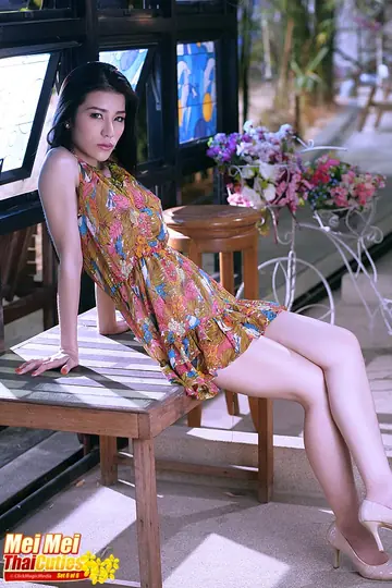 Busty Thai Woman Strips Out of Her Skirt on the Coffee Table