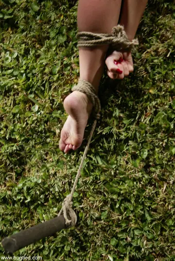 Dee Williams – Busty Brunette MILFs in Bondage Lick Pussy Outdoors