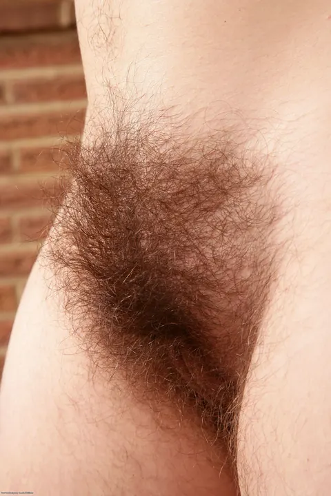 Olivia Rose: Petite Blonde Strips Nude Showing Her Hairy Bush – photo 13 of 21