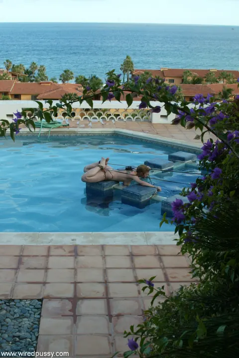 Dee Williams: Busty Blonde MILF Submits to Bondage at the Pool – photo 19 of 20