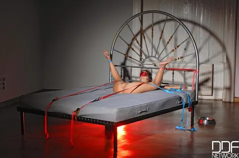 Debbie White: Hungarian Brunette Bound and Toyed Anally – photo 12 of 21