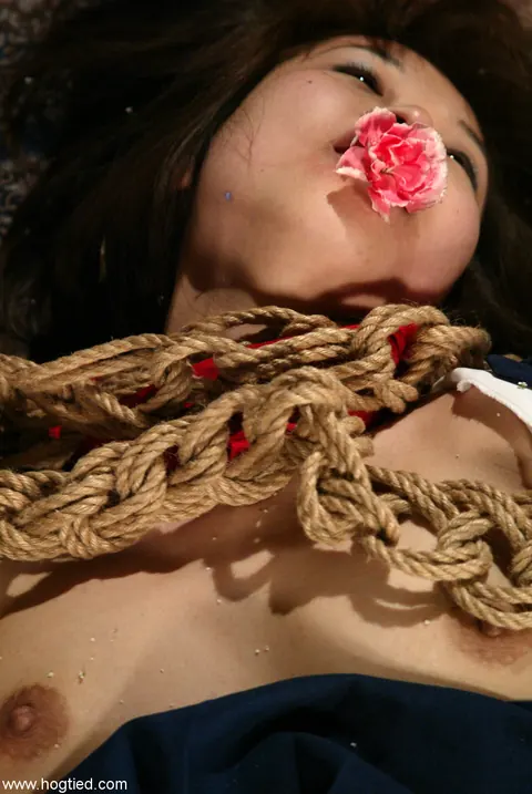 Japanese Bondage Model Bound and Restrained in Ropes – photo 20 of 20