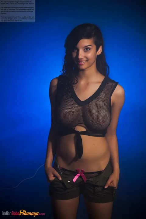 Indian Brunette Poses in Shorts – photo 11 of 16