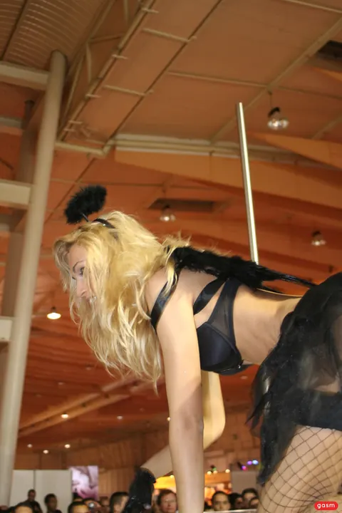 Erica Fontes: Slim Blonde in Heels and Costume Strips for Lap Dance – photo 14 of 15