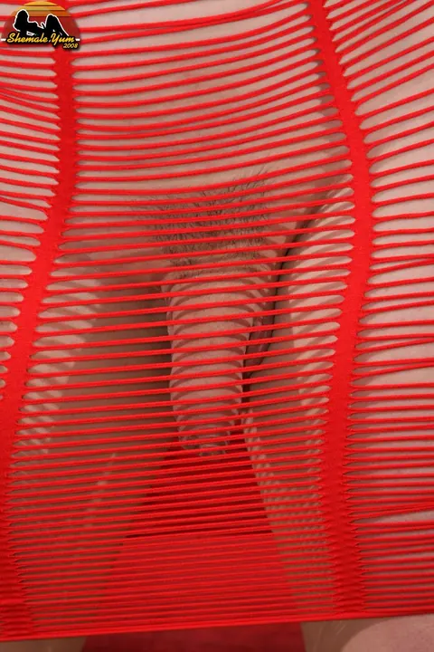 Busty Trans Woman Strips Off Her Skirt and Poses Nude – photo 2 of 16