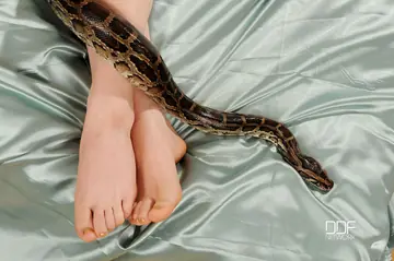 Benji – Redhead Spreads Her Hairy Bush and Shows Her Feet