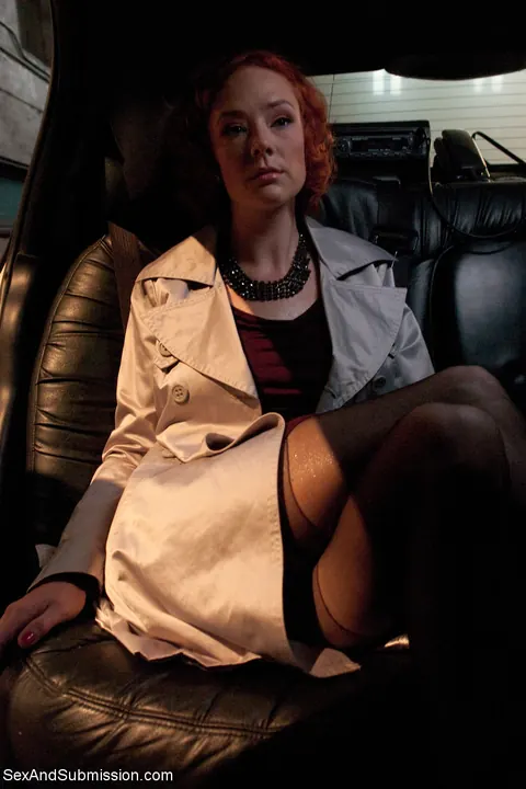 Audrey Hollander: Short-Haired Curly Redhead MILF Submits to Bondage and Anal – photo 7 of 21