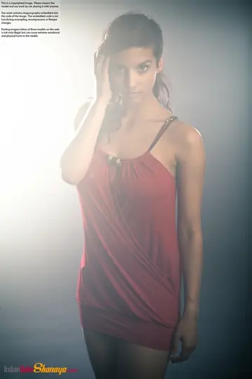 Indian Beauty Strips Out of Her Dress to Show Her Big Tits