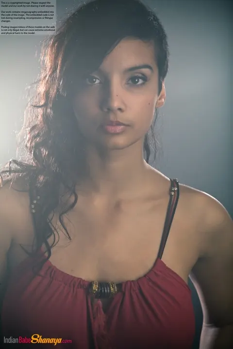 Indian Beauty Strips Out of Her Dress to Show Her Big Tits – photo 2 of 16