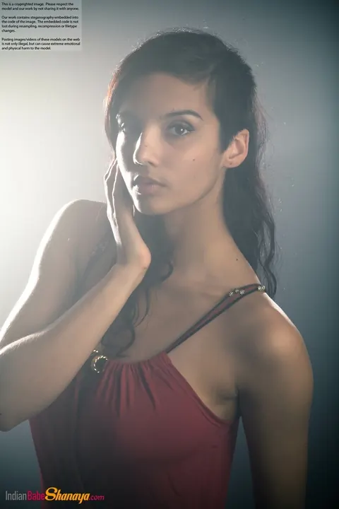 Indian Beauty Strips Out of Her Dress to Show Her Big Tits – photo 11 of 16
