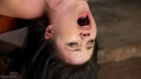 Yhivi: Slim Brunette in Shorts Gets Hogtied and Dildoed – photo 10 of 21
