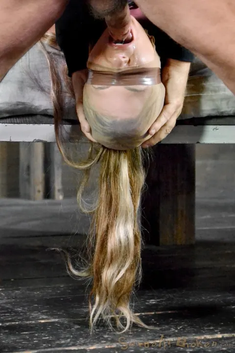 Dahlia Sky: Hairy Blonde MILF Endures Bondage, Deepthroat and Anal – photo 9 of 16