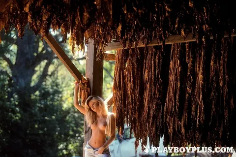 Alison Foran: Tall Mature Latina and Ebony Women Undress and Show Pubic Hair – photo 10 of 16