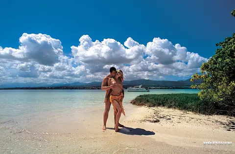 Janet Alfano: Busty Blonde MILF Takes Anal and Cum in Mouth on the Beach – photo 3 of 12