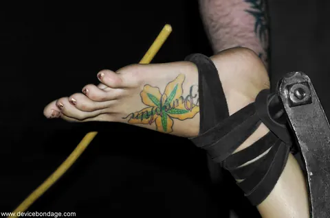 Bobbi Starr: Tattooed Brunette MILF Bound in Stocks with a Dildo – photo 18 of 21