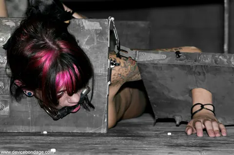 Bobbi Starr: Tattooed Brunette MILF Bound in Stocks with a Dildo – photo 21 of 21