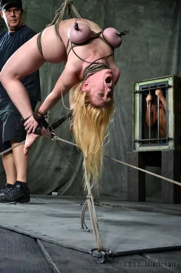 Dee Williams – Busty Blonde MILF Bound and Masturbated with a Dildo