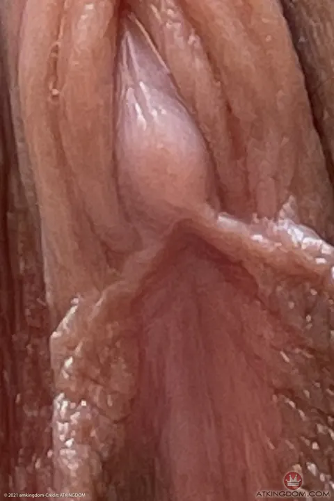 Lily Adams: Brunette Spreads Her Shaved Labia in Close-Up – photo 16 of 20