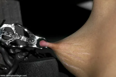 Ariel X: Brunette PAWG in Bondage Plays with a Dildo – photo 10 of 20