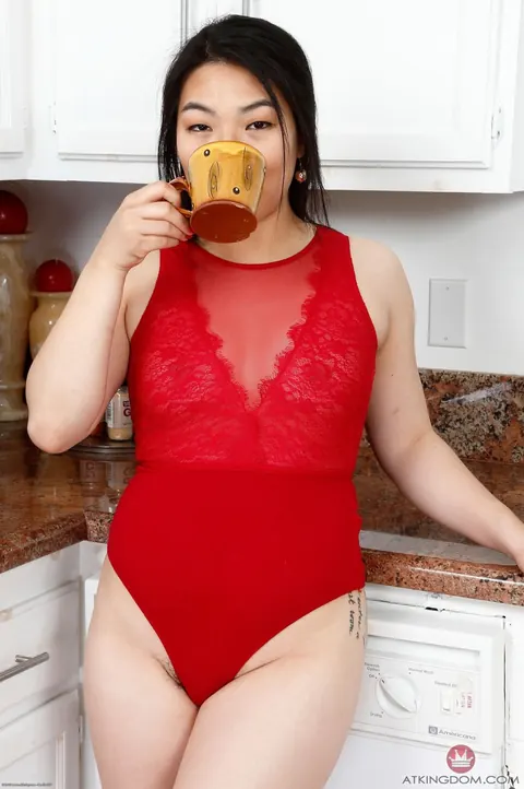 Nari Park: Chubby Asian Babe in Lingerie Spreads Her Hairy Pussy – photo 1 of 21