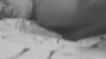 Petite Latina with Curly Hair Gives a Blowjob and Gets Fucked Doggy Style