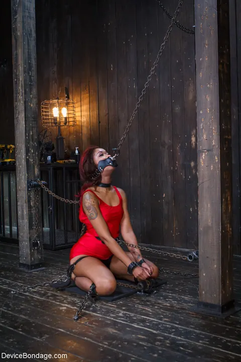 Skin Diamond: Busty Ebony Bound and Takes a Dildo – photo 1 of 21