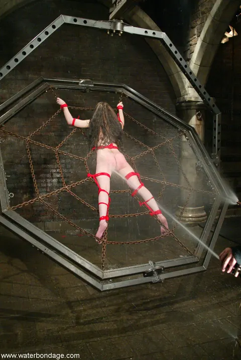 Maya Matthews: Petite Slim Brunette Bound Nude in Bondage Restraints – photo 8 of 21
