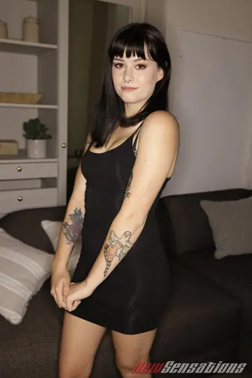 Nova Vixen