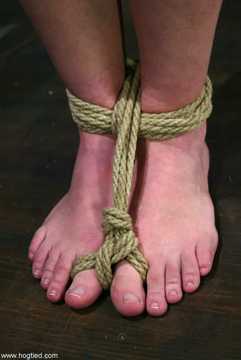 Dee Williams: Blonde with Enhanced Tits Bound in Rope Bondage – photo 3 of 20