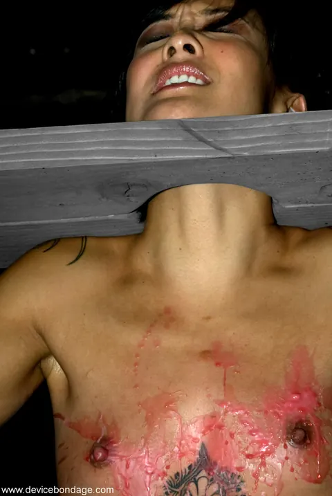 Claire Adams: Asian MILF in Panties Bound and Spread in Device Bondage – photo 20 of 20
