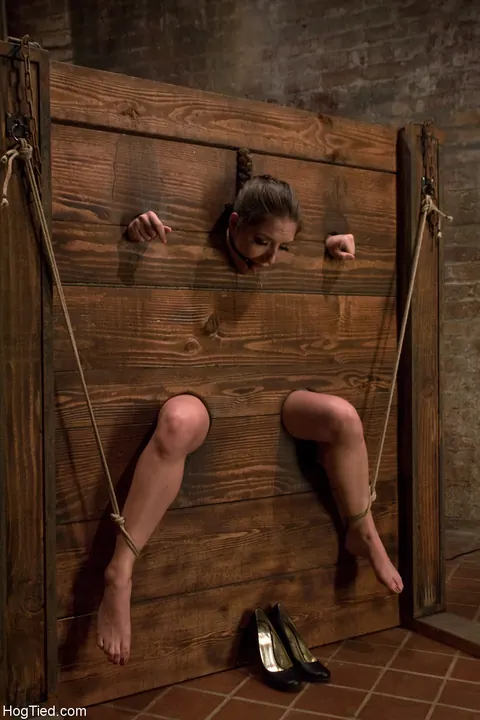 Brunette in Bondage Takes a Dildo from Behind – photo 14 of 20
