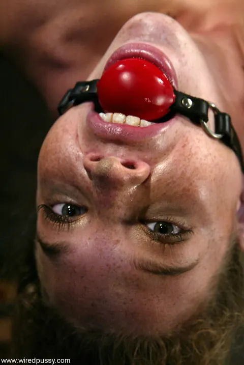 Ashley Gracie: Busty and Small-Titted Redheads Spread Pussies in Bondage – photo 14 of 20