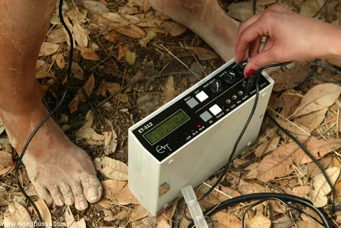 Dana DeArmond: Tall Asian MILFs in Bondage Play with Toys Outdoors – photo 15 of 20