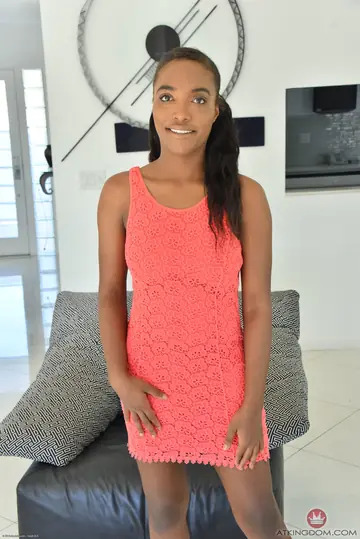 Ebony Brunette in a Dress Spreads Her Shaved Pussy
