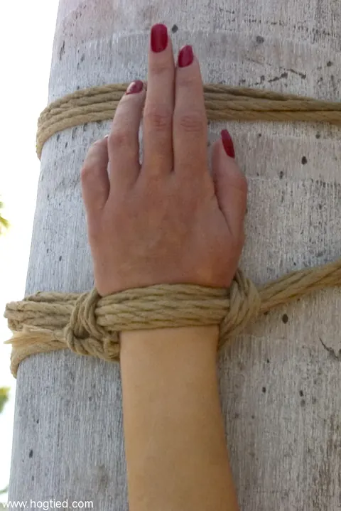 Jenny Lee: Petite Blonde MILF Bound to a Tree and Toyed by the Pool – photo 6 of 20