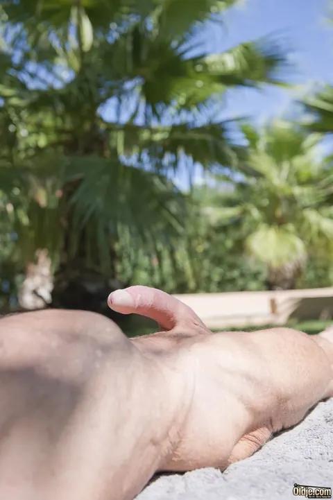 Julie Skyhigh: Brunette in a Bikini Has Outdoor Sex with Two Men – photo 5 of 16