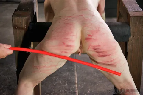 PAWG Spreads Her Pussy in Bondage – photo 11 of 16