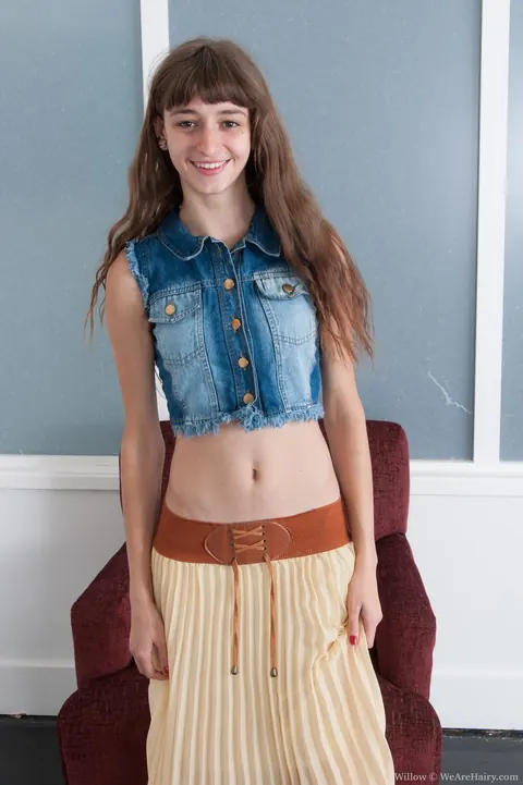 Willow Hayes: Slim Brunette Strips Off Her Panties to Show Her Hairy Bush – photo 2 of 16