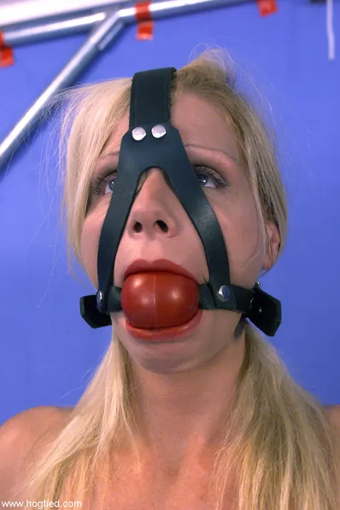 Sharon E: Busty Blonde Bound and Gagged While Spreading Her Pussy – photo 9 of 9