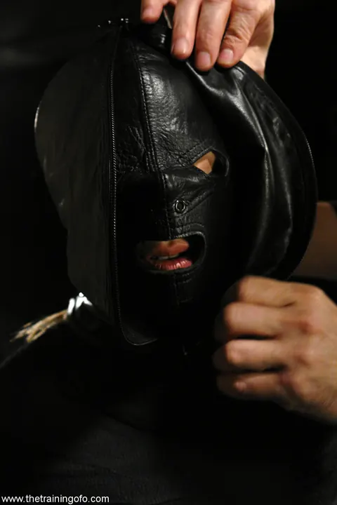 Tawni Ryden: Blonde MILF with Natural Tits Bound and Spread on a Train in BDSM – photo 12 of 21