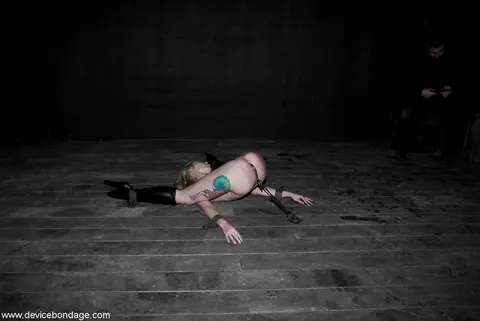 Sarah Jane Ceylon: Blonde MILF Bound and Masturbates with a Dildo While Spreading – photo 6 of 20