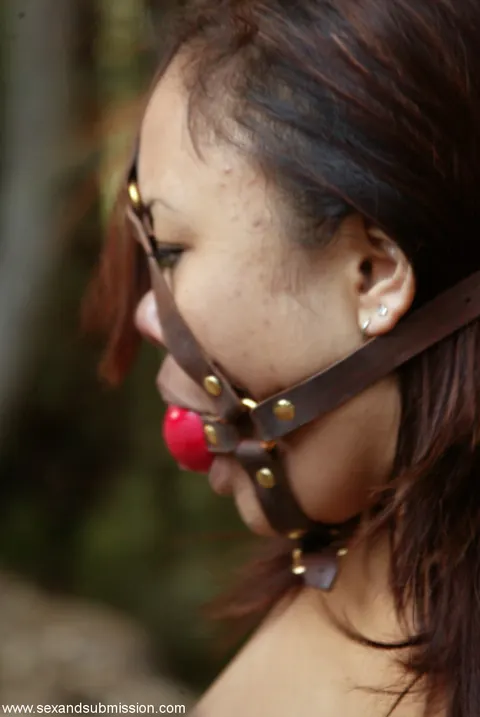 Annie Cruz: Slim Asian MILF in Bondage Outdoors with Multiple Men – photo 15 of 16