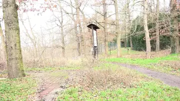 Naomi Bennet – Czech Brunette Squats to Piss in the Forest