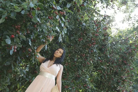 Kira Queen: Russian Brunette Picks Fruit Outdoors in a Skirt – photo 12 of 17